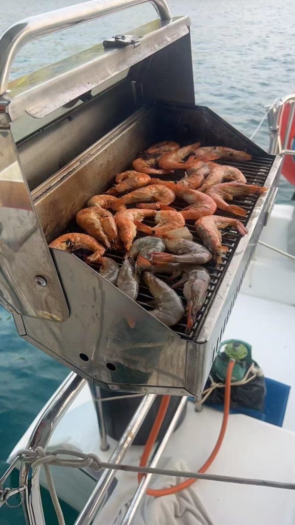 Miss Coco 蓝高双体帆船 (Lagoon Catamaran)