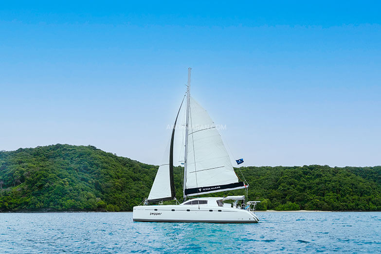 Pepper Catamaran 02