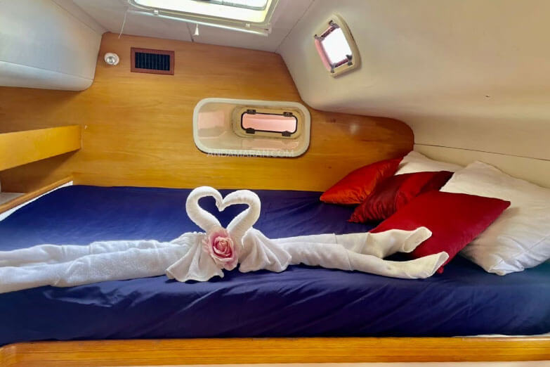 The One Catamaran 05