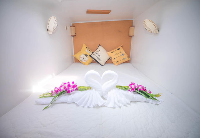 Nina 双体帆船 包船-泰兰德旅行